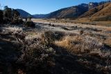 dsc_7883.jpg